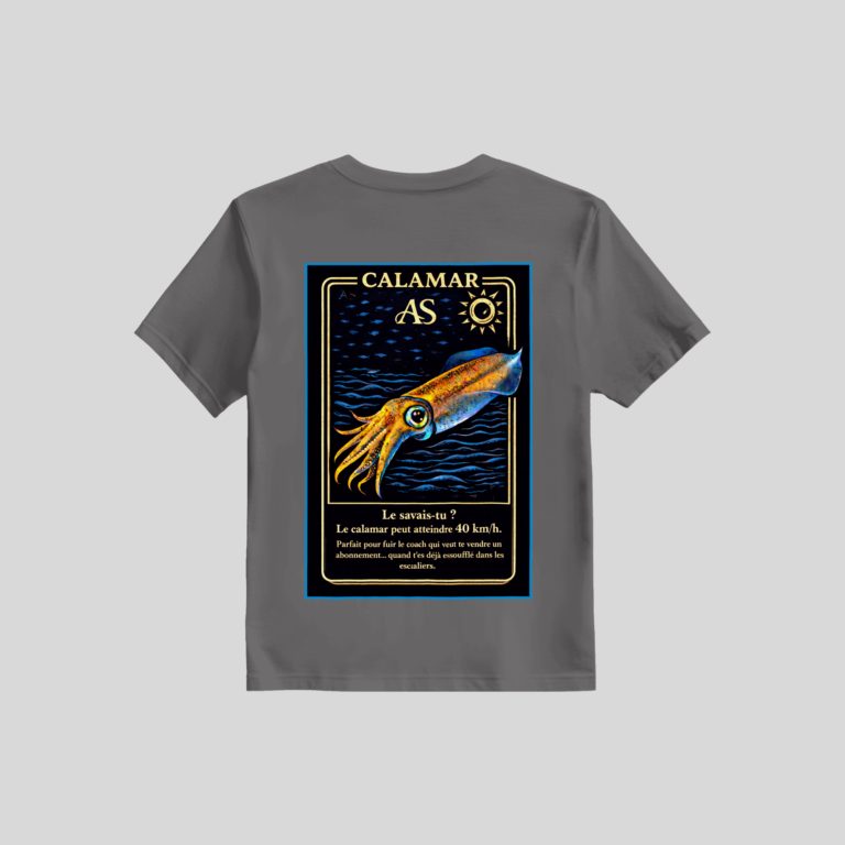 T-shirt calamar gris